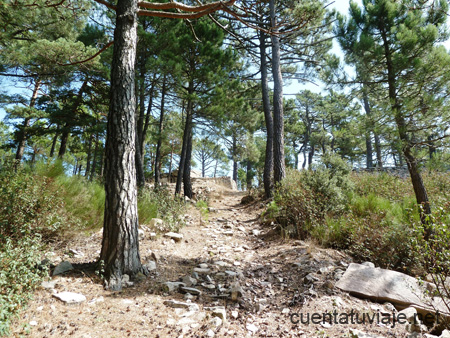 Ruta al Pico de Santa Bárbara (Castellón)